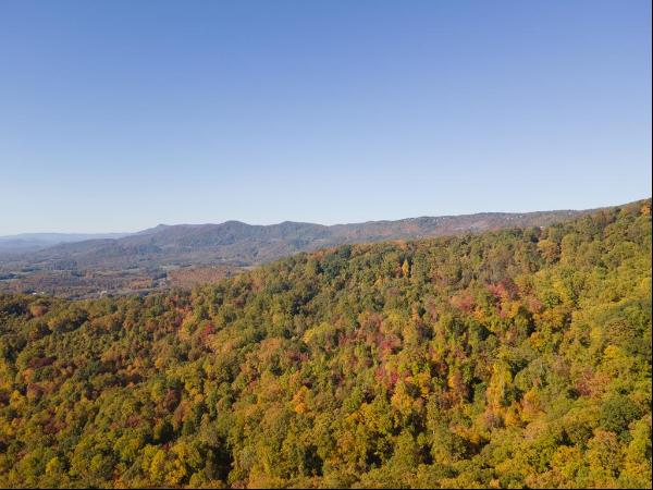 5 Acres Reflections Point Trl #95, 96, & 98, Fancy Gap VA 24328