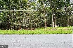 Lot 827 View Lane, Greentown PA 18426