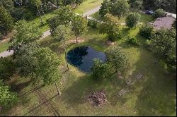 24280 Fox Hollow Drive, Hockley TX 77447