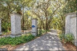 0 Old Cane Mill Lot #6 Road, Darien GA 31305