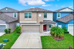 7412 Pearly Everlasting Avenue, Tampa FL 33619