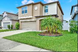 7412 Pearly Everlasting Avenue, Tampa FL 33619