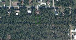 1702 Nectar Avenue, Sebring FL 33875