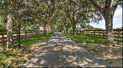 33025 Little Hampton Court, Sorrento FL 32776