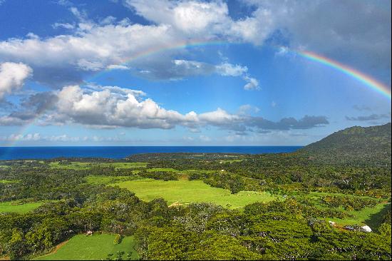 KAPUNA RD, KILAUEA, HI, 96754, USA