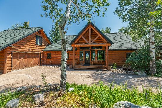 30120 Elk Lane,Steamboat Springs, CO, 80487