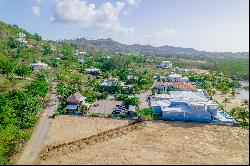 Lot C1 Guaiabara Beach