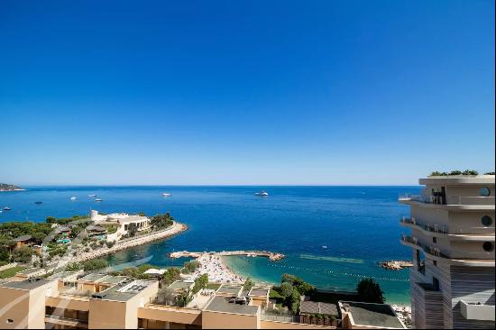 Co-Exlusivity - La Rousse - Chateau Amiral - Penthouse 4 Rooms