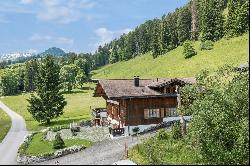 Magnificent luxury Alpine chalet