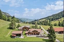 Magnificent luxury Alpine chalet