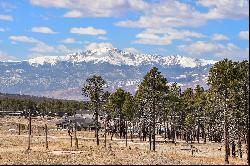 5 acres with jaw dropping views of Pikes Peak located in Black Forest