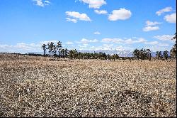 5 acres with jaw dropping views of Pikes Peak located in Black Forest