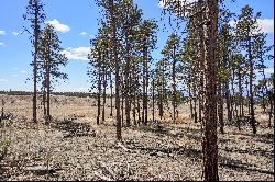 5 acres with jaw dropping views of Pikes Peak located in Black Forest