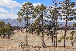 5 acres with jaw dropping views of Pikes Peak located in Black Forest