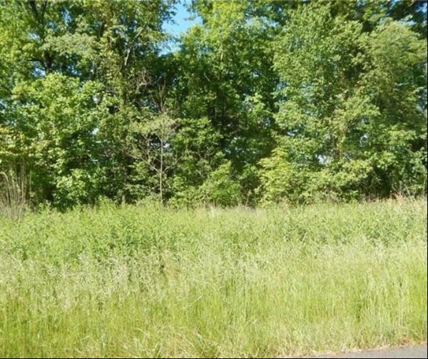 Lot 52 Saw Mill Road, Unity Twp PA 15601