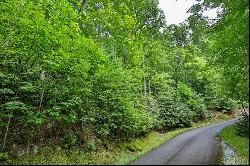 Lot 7 Easy Springs Rd, Sapphire NC 28774