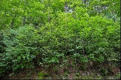 Lot 7 Easy Springs Rd, Sapphire NC 28774