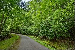 Lot 7 Easy Springs Rd, Sapphire NC 28774