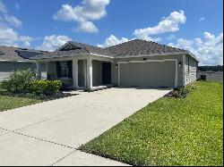 5114 Tanzanite Drive, Mount Dora FL 32757