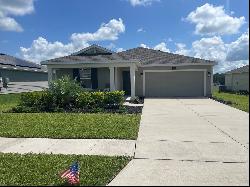 5114 Tanzanite Drive, Mount Dora FL 32757