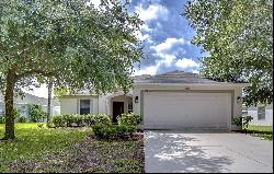 13816 Caden Glen Drive, Hudson FL 34669