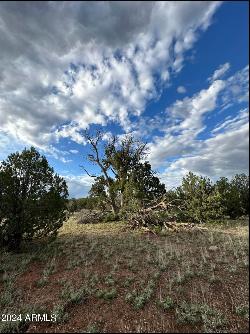 388 Juniper Ranch -- #388-391, Ash Fork AZ 86320