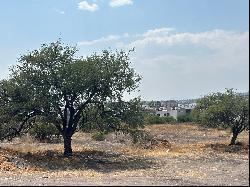 TERRENO FRAY JUNÍPERO SERRA OFICINAS