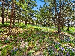 Mountain View Lot for your Custom Home