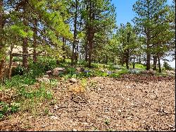 Mountain View Lot for your Custom Home