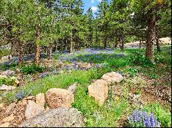 Mountain View Lot for your Custom Home