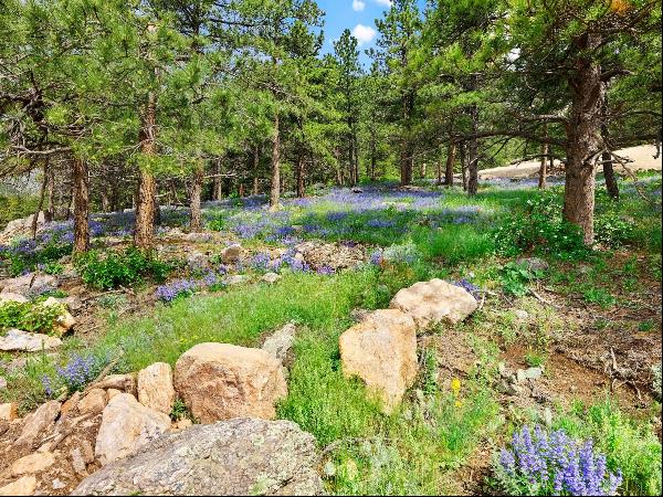 Mountain View Lot for your Custom Home