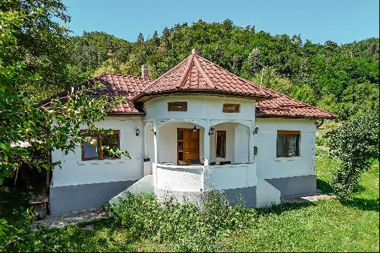 The Tranquility and Potential of a House and a Forest