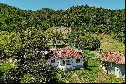 The Tranquility and Potential of a House and a Forest