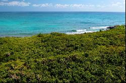 Guana Breezes Oceanfront Acreage