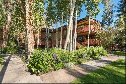 400 West Hopkins Avenue, Aspen, CO 81611