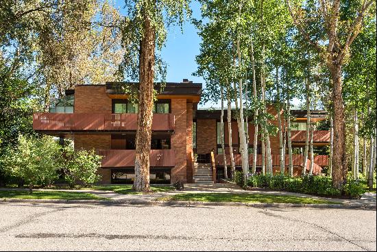 400 West Hopkins Avenue, Aspen, CO 81611