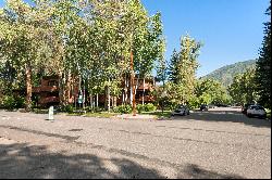 400 West Hopkins Avenue, Aspen, CO 81611