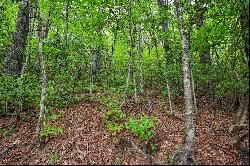 Lot 7 Crestwood Road, Cashiers, NC 28717