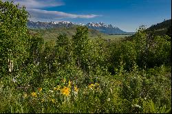 Grand Teton Views on 38 Acres