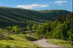 Grand Teton Views on 38 Acres