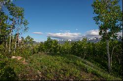 Grand Teton Views on 38 Acres