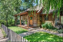 117 Neale Avenue, Aspen, CO 81611