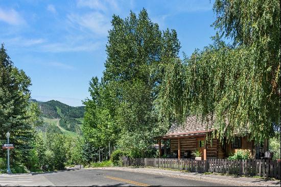 117 Neale Avenue, Aspen, CO 81611