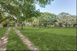 A Picturesque 2-Acre Wooded Lot in Mansfield