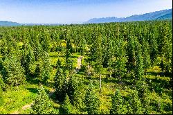 593 acres near Swan Lake - Bigfork