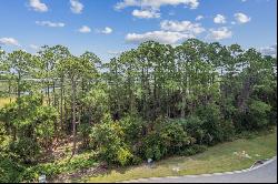 96744 Soap Creek Drive, Fernandina Beach FL 32034