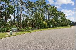 96744 Soap Creek Drive, Fernandina Beach FL 32034