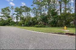 96744 Soap Creek Drive, Fernandina Beach FL 32034