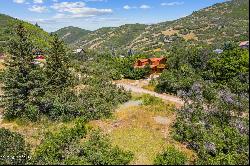 1367 Neuchatel Circle, Midway UT 84049