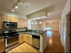 1333 W Broad Street Unit 214, Richmond VA 23220